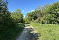 4 Zimmer Dachgeschoss-Maisonette – Wohnen mit Weitblick