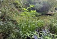 Einmalige Gelegenheit in Gleisdorf: ca. 1.100 mÂ² GrundstÃŒck mit Altbestand in Ruhelage!