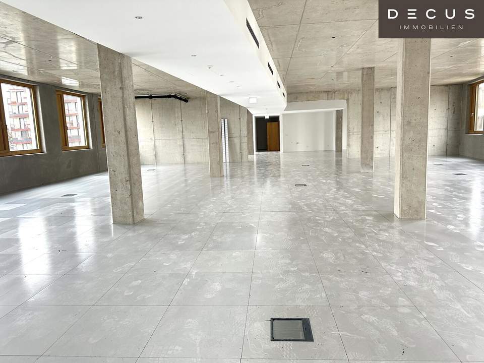 | INDUSTRIE STYLE | FABRIK 1230 | Büro-/Ordinations-/Geschäftsflächen