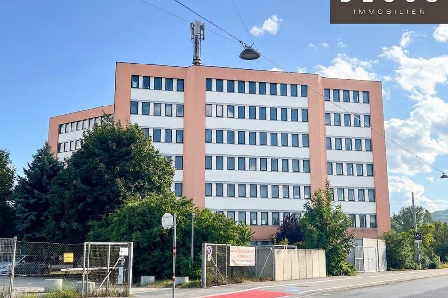 Moderne Büroflächen mit flexiblen Gestaltungsmöglichkeiten in Wien-Strebersdorf, Gewerbeobjekt-miete, 3.843,00,€, 1210 Wien 22., Donaustadt