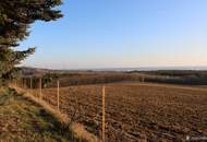 Nähe Jennersdorf: Absolute Einzellage mit einzigartigem Fernblick, 1,6 ha