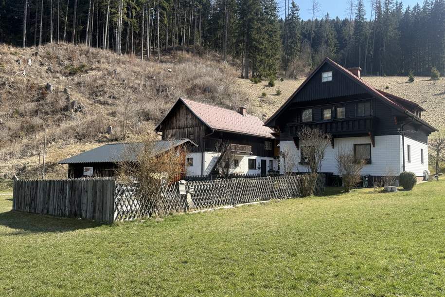 *** Charmantes teilsaniertes Landanwesen mit 10.978 m² Grund – Ruhe, Natur und vielseitige Nutzungsmöglichkeiten nur wenige Minuten zum grünen See ***, Haus-kauf, 248.000,€, 8612 Bruck-Mürzzuschlag