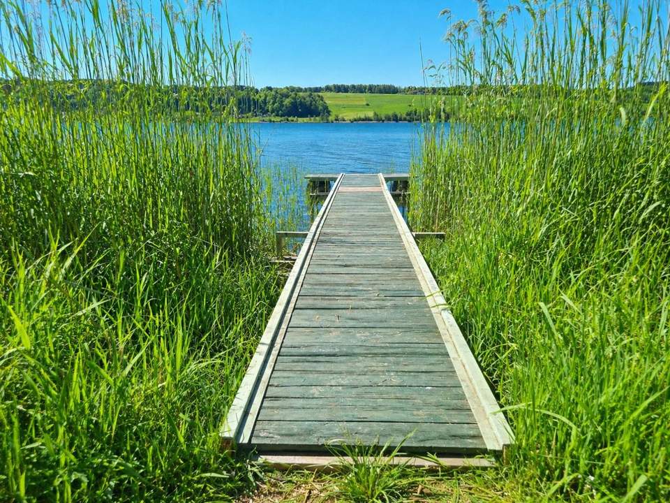 Am Obertrumer See: Badegrundstück mit Steg, Boje &amp; Weinfass!