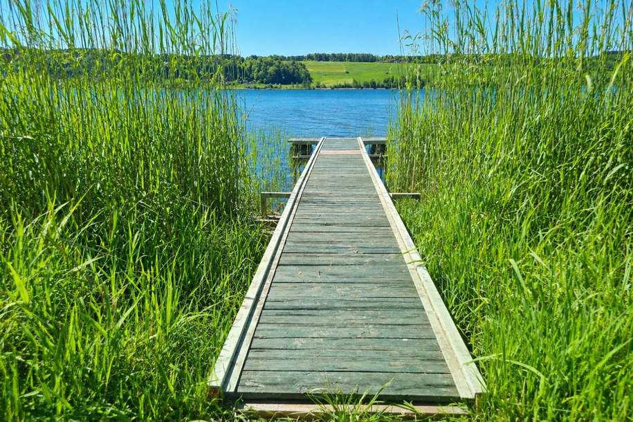 Am Obertrumer See: Badegrundstück mit Steg, Boje & Weinfass!, Grund und Boden-kauf, 590.000,€, 5163 Salzburg-Umgebung