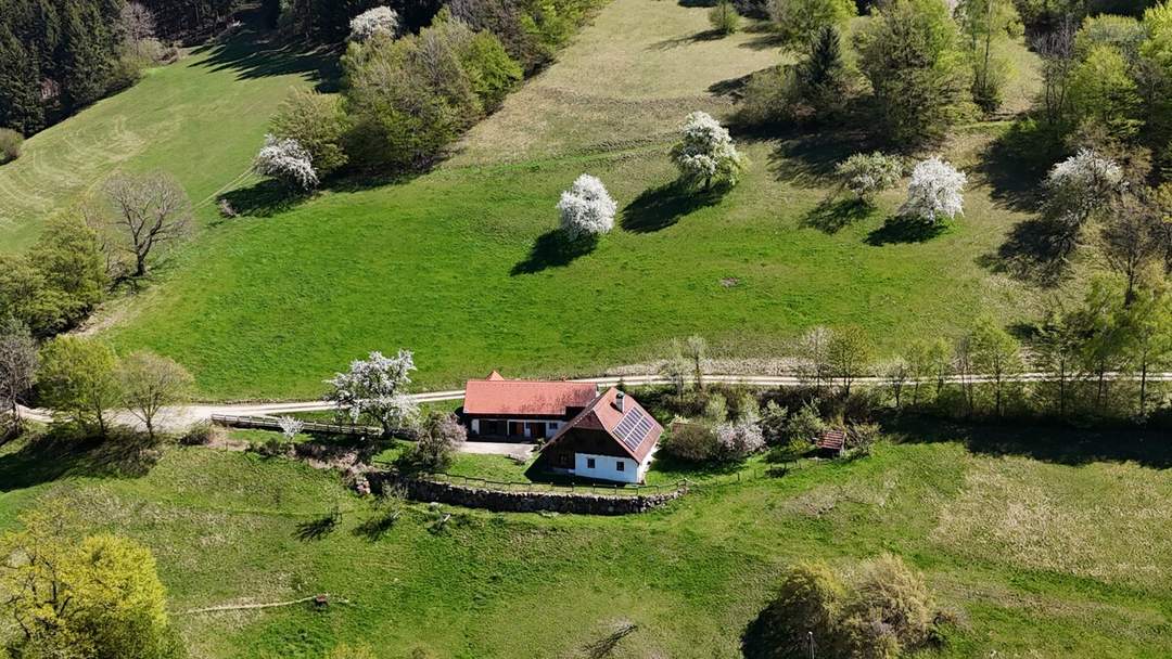 RARITÄT IN ABSOLUTER EINZELLAGE: IDYLLISCHES HIDEAWAY MIT NEBENGEBÄUDE &amp; GROSSEM POTENZIAL