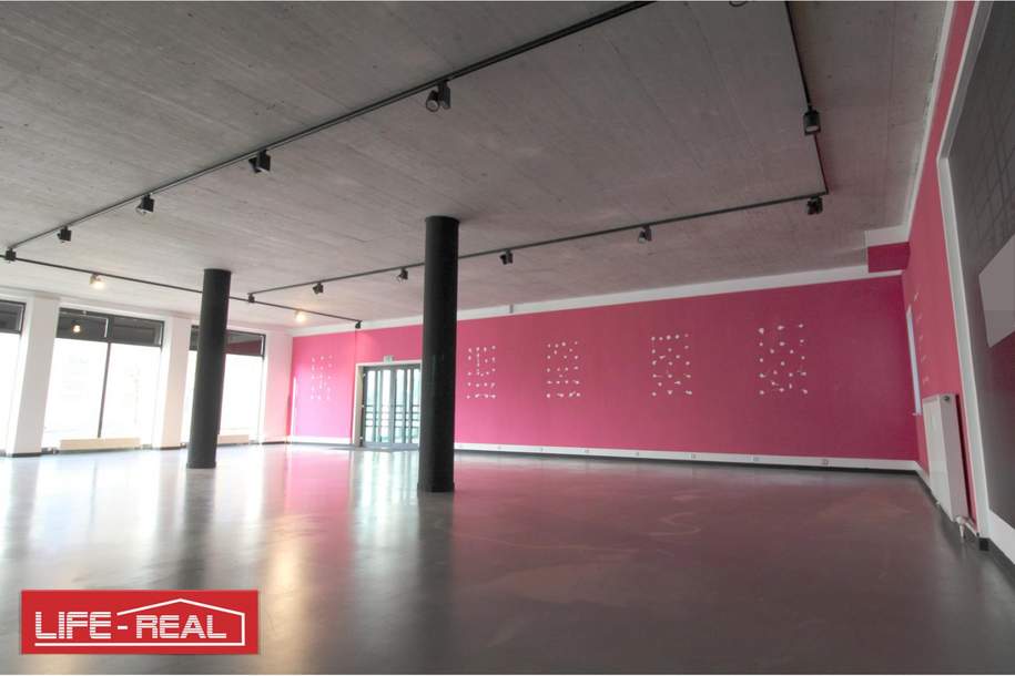 großes Büro/Ausstellungsfläche in zentraler Lage, Gewerbeobjekt-miete, 2.872,80,€, 4020 Linz(Stadt)