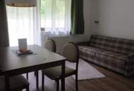 Apartmenthaus mit 8 Eigentumswohnungen sowie eine Großwohnung und Gewerbetrakt in sehr ruhiger Grünlage