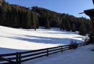 Großzügiges Almhaus mit vielen Ausbaumöglichkeiten