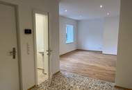 einmalige sensationelle Lage in Spitz (Wachau): Einfamilienhaus / 2 Ferienwohnungen