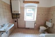 charmantes Wohnhaus mit zwei Wohneinheiten, Innenhof-Garten und Werkstatt - Steyr/Steyrdorf