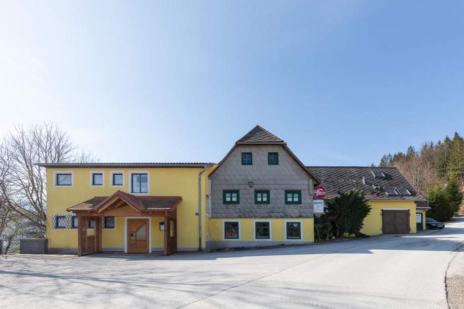 Leibrenten-Variante für Zwei- bis Dreifamilienhaus, Haus-kauf, 45.000,€, 8102 Graz-Umgebung