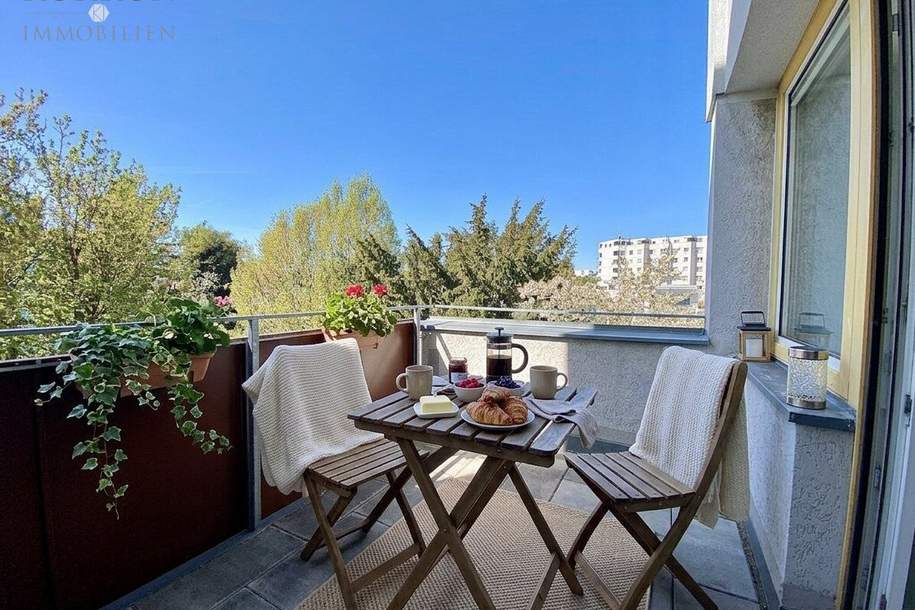 Nur € 399.000,-! Erstbezug nach Renovierung - 91-m² plus Terrasse + Garage + 24-m²-Hobbyraum in grüner U6-Lage, Wohnung-kauf, 399.000,€, 1230 Wien 23., Liesing