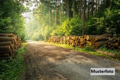 Land- und Forstwirtschaftsfläche