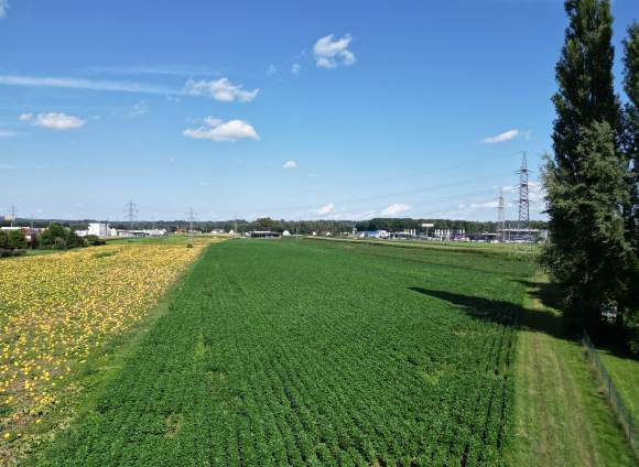 Gewerbegrundstücke im Gewerbegebiet Leibnitz