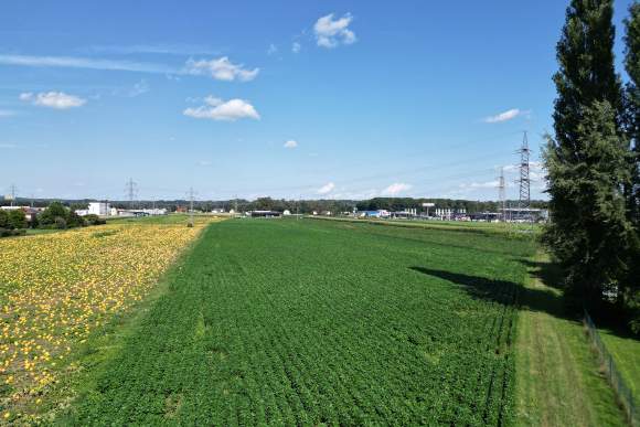 Gewerbegrundstücke im Gewerbegebiet Leibnitz, Grund und Boden-kauf, 1.950.000,€, 8430 Leibnitz