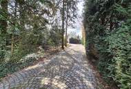 Traumhaftes Grundstück mit repräsentativem Bungalow in Langenzersdorf an der Stadtgrenze zu Wien