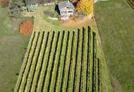 Kleines Ferienhaus mit großem Grundstück in idyllischer Ruhelage von Reichendorf