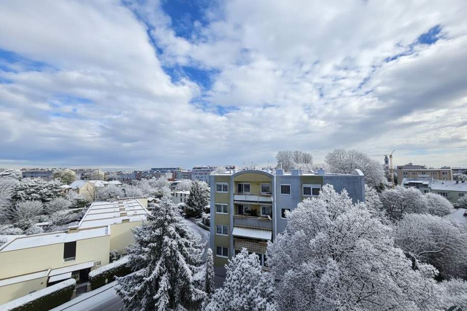 Zentrumslage, hell und freundlich!, Wohnung-kauf, 249.900,€, 2700 Wiener Neustadt(Stadt)