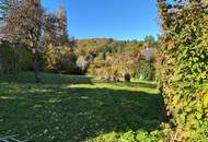 HERRLICH MIT BERG- UND WALDBLICK