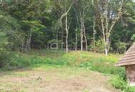 Die Lage...die Lage...die Lage...absolute Alleinlage im Südburgenland