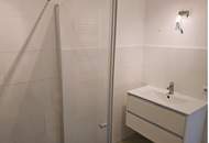 5 Zimmer-Altbauwohnung in Nähe vom Ennser Hauptplatz