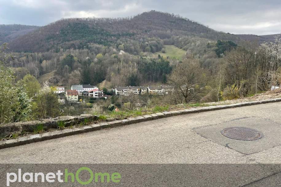 Grundstück in Hanglage in Kaltenleutgeben, Grund und Boden-kauf, 425.000,€, 2391 Mödling