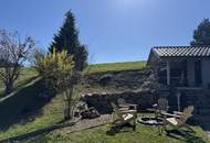 Wohntraum und Arbeiten im Grünen oder für Selbstversorger mit Grünland und 240 qm Wohnfläche!