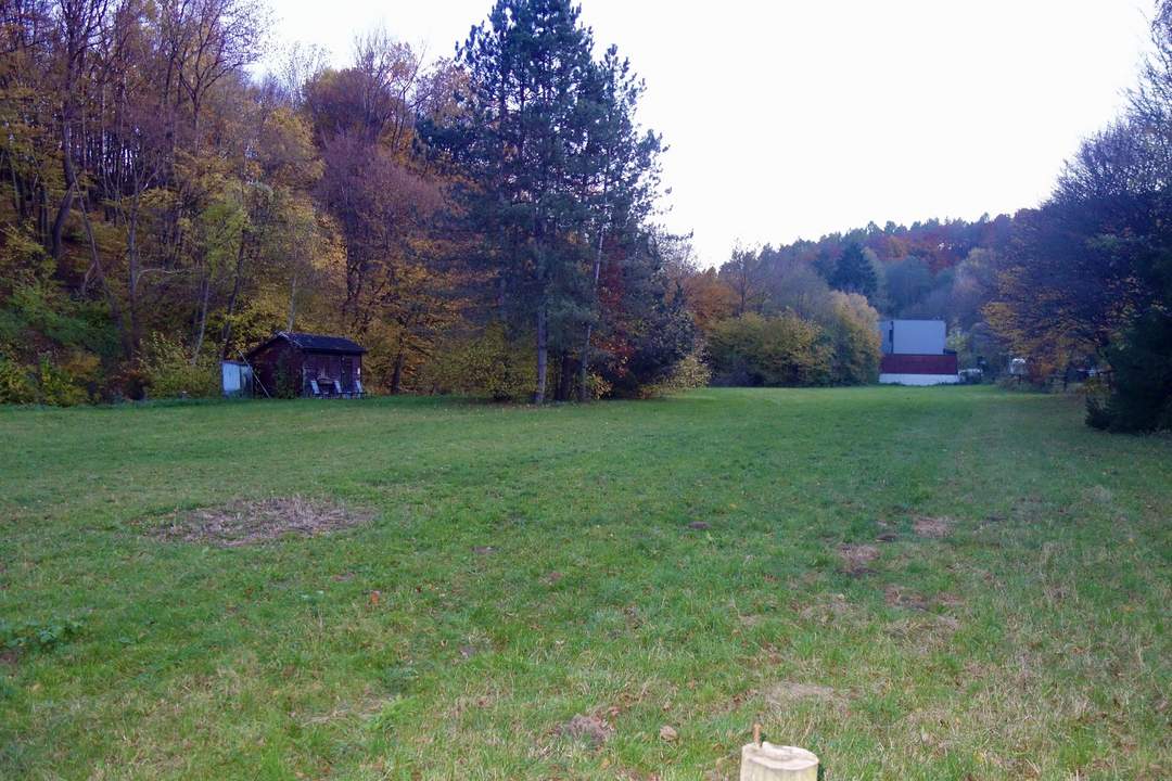 TRAUMHAFTES GRUNDSTÜCK MIT TEICH AM STEINRIEGL