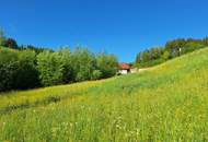 Sonnige Hanglage mit Ausblick – Natur genießen, Stadtnähe erleben
