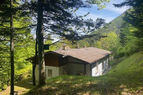 Schmuckstück am Semmering! Wohnen oder vermieten?, Haus-kauf, 299.000,€, 2680 Neunkirchen