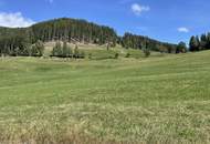 Einzigartige Landwirtschaft inkl. Hofstelle und eigener Quelle, umgeben von 52 ha arrondierter Wald- und Wiesenfläche
