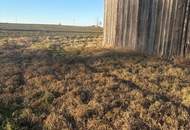 Vielseitige Gewerbe- und Wohnliegenschaft: diverse Hallenflächen, Wohngebäude und ein großzügiges Grundstück!