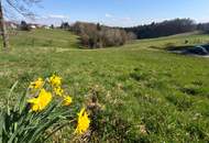 Eine Gelegenheit für Naturverbundene: Baugrundstück am Rande von Kumberg bei Graz