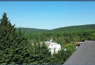 Familienhaus mit Ausbaumöglichkeit in Hietzinger Toplage | ZELLMANN IMMOBILIEN