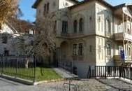 Historische Villa ALMEROTH im Stadtzentrum- Wohnen auf 250 m2 im OG plus 4 Untermieter