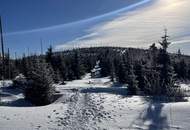 Haus mit 3 Wohnungen im Tourismusgebiet Hochficht - Böhmerwald