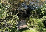 EINMALIG! Haus 300 Meter von der MITTELSTATION STUHLECK entfernt