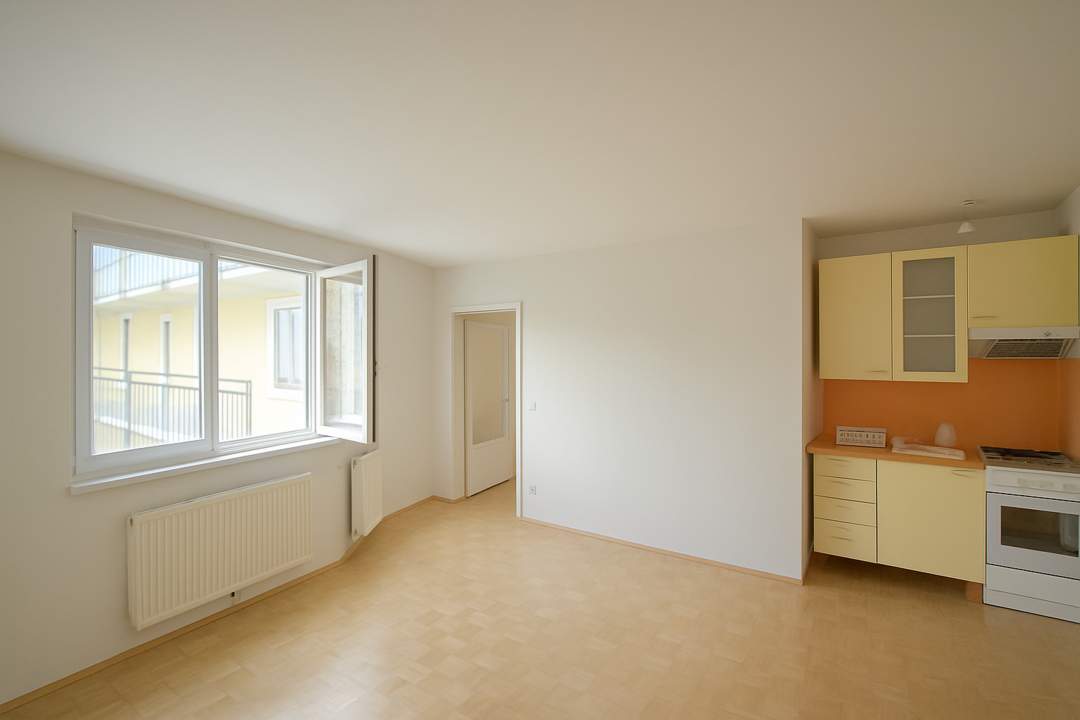 Ruhige Garçonnière am Laubepark