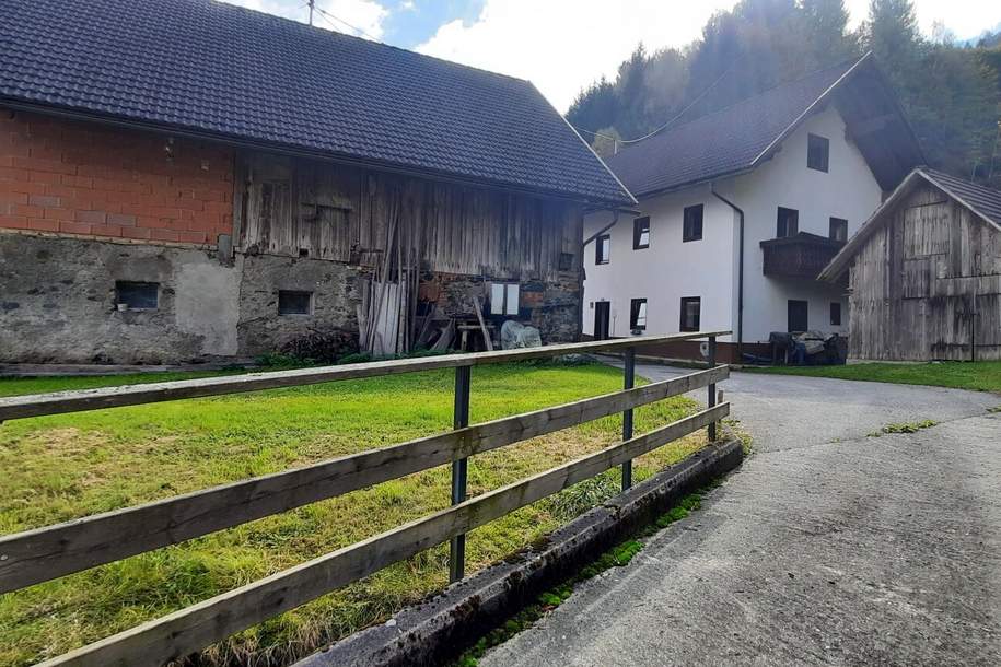 Für Naturliebhaber und Heimwerker- sanierungsbedürftiges Bauernhaus mit Nebengebäuden - zwischen Hermagor und Villach, Haus-kauf, 180.000,€, 9613 Villach Land