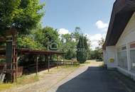 Grundstück am Zicksee im Burgenland