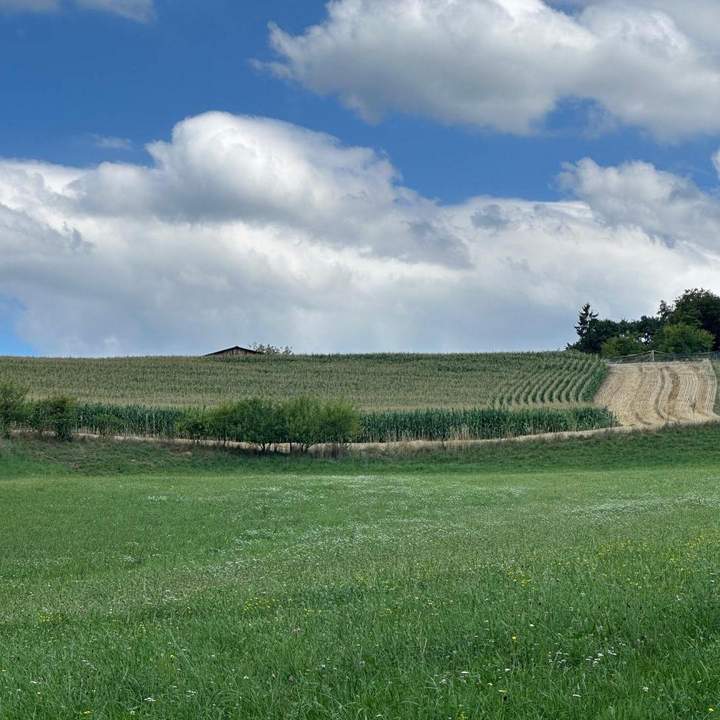 Landwirtschaftliche Nutzflächen in Großsulz bei Kalsdorf zu kaufen!