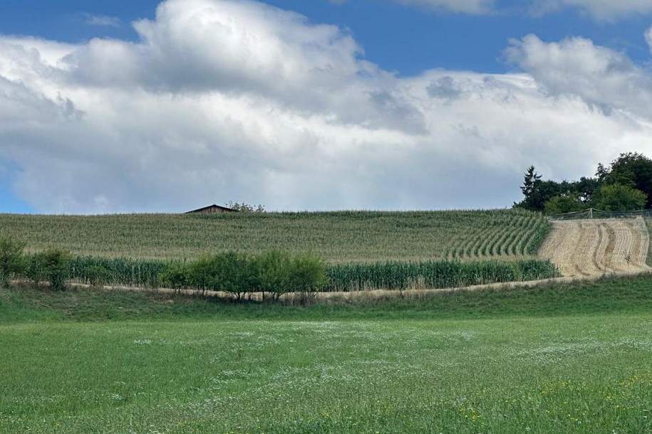 Landwirtschaftliche Nutzflächen in Großsulz bei Kalsdorf zu kaufen!, Gewerbeobjekt-kauf, 8401 Graz-Umgebung