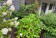 3 Zimmer-Penthouse-Wohnung mit Balkon in den grünen Innenhof gerichtet