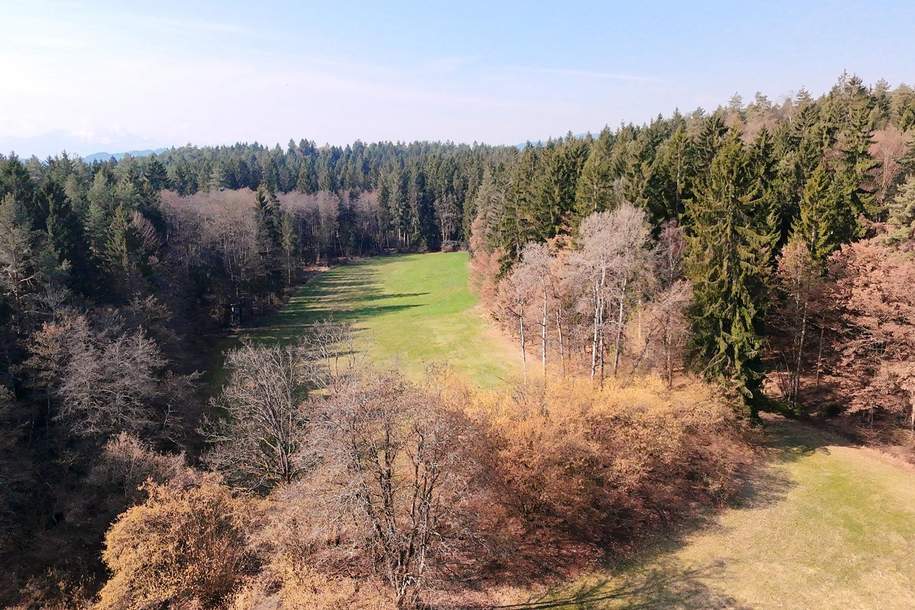 10.5 ha Wiese und Wald in Moosburg, Gewerbeobjekt-kauf, 349.000,€, 9062 Klagenfurt Land