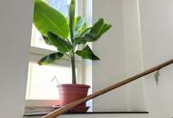 Klein. Fein. Mein. – frisch sanierte Wiener Altbauwohnung in Ruhelage mit Charme & Stil. Jetzt entdecken & verlieben!