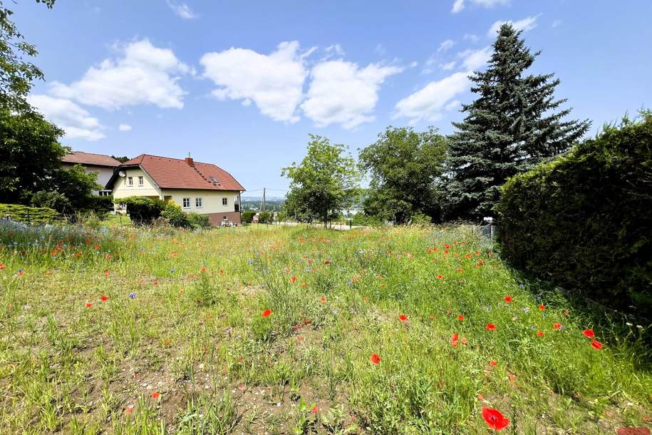 Die Donau im Blick, Grund und Boden-kauf, 850.000,€, 3400 Tulln
