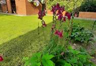 Komplett modernisierter Bungalow in ruhiger Sackgasse Kottingbrunn