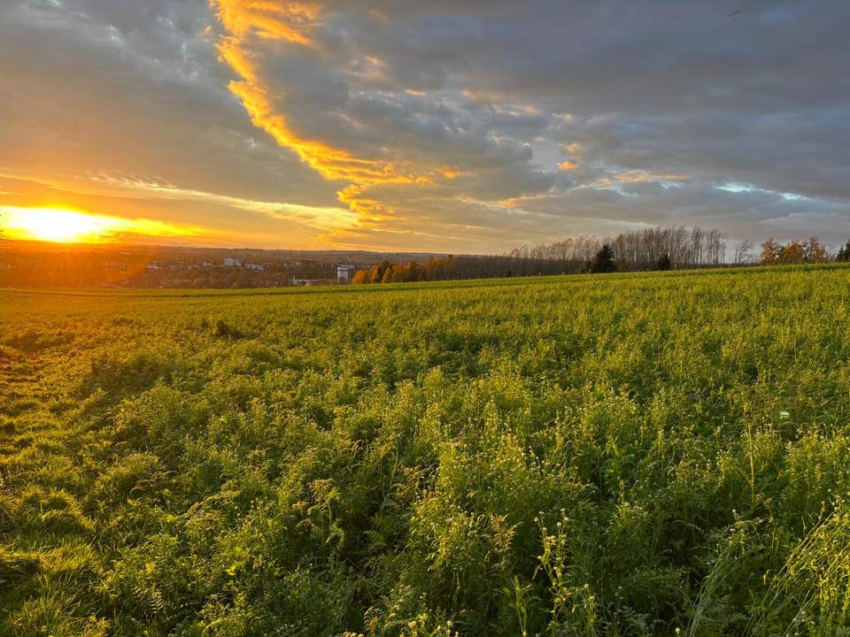 Charmantes Holzblockhaus (Wunsch-Haus) in wunderschöner Natur- und Aussichtslage in Bubing