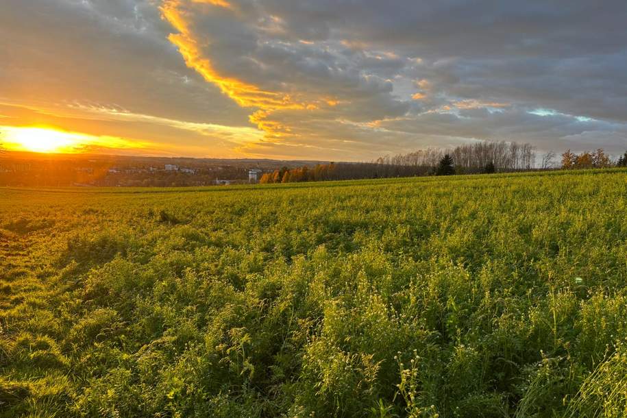Charmantes Holzblockhaus (Wunsch-Haus) in wunderschöner Natur- und Aussichtslage in Bubing, Haus-kauf, 319.000,€, 4782 Schärding