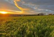 Charmantes Holzblockhaus (Wunsch-Haus) in wunderschöner Natur- und Aussichtslage in Bubing